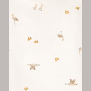 Baby Unisex (NB-24M) Carters(R) 5pk. Free to Fly Bodysuits alternate view