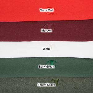 Mens Champion(R) Powerblend Fleece Pullover Hoodie alternate view