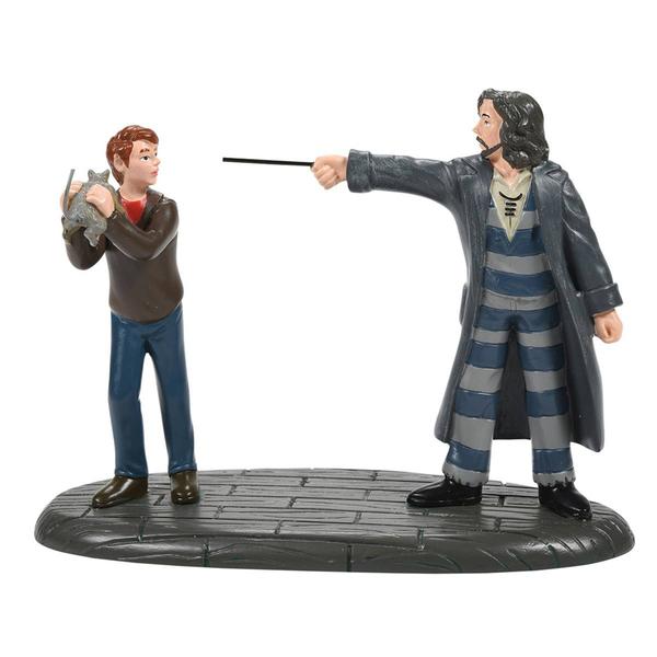 Department 56 Harry Potter Village Come Out and Play Peter!