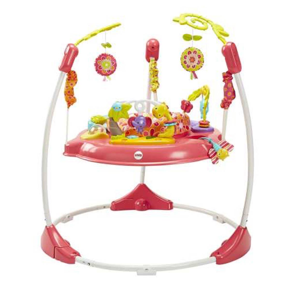 Fisher-Price(R) Pink Petals Jumparoo