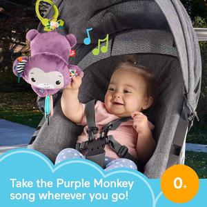 Fisher-Price(R) Sing & Go Purple Monkey alternate view