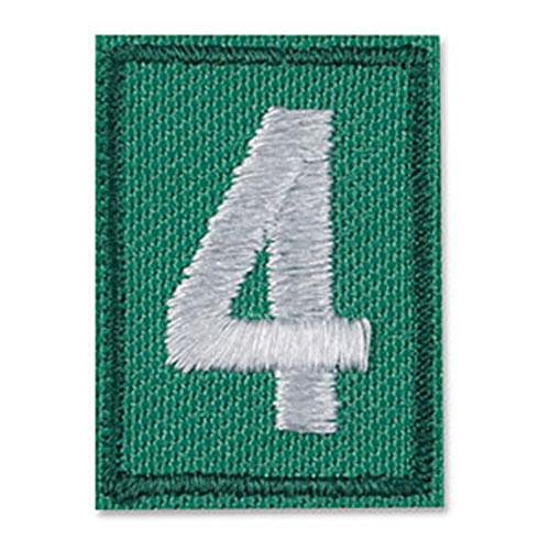 Girl Scouts Troop Numerals