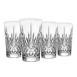 Godinger Dublin Crystal All Purpose Glasses - Set of 4