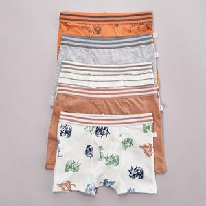 Toddler Boy Poppy & Clay 5pk. Wanderer Stripe & Dino Boxer Briefs
