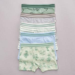 Toddler Boy Poppy & Clay 5pk. Wanderer Safari Boxer Briefs