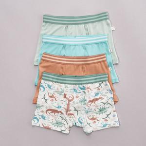 Toddler Boy Poppy & Clay 4pk. Zen Bamboo Dino Boxer Briefs