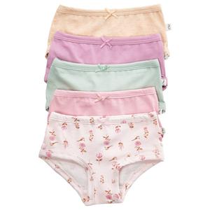 Toddler Girl Poppy & Clay Floral Be Peaceful 5pk. Underwear-Pink