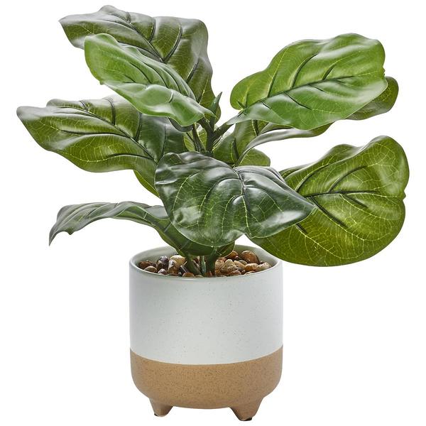13.5in. Life-Like Fiddle Plant