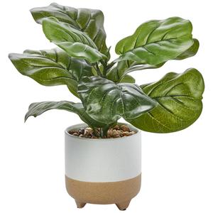13.5in. Life-Like Fiddle Plant