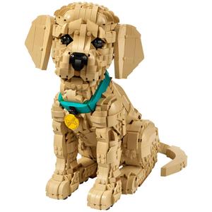 LEGO(R) Icons Golden Retriever Puppy alternate view