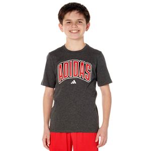 Boys (8-20) adidas(R) Short Sleeve Collegiate Arch Heather Tee