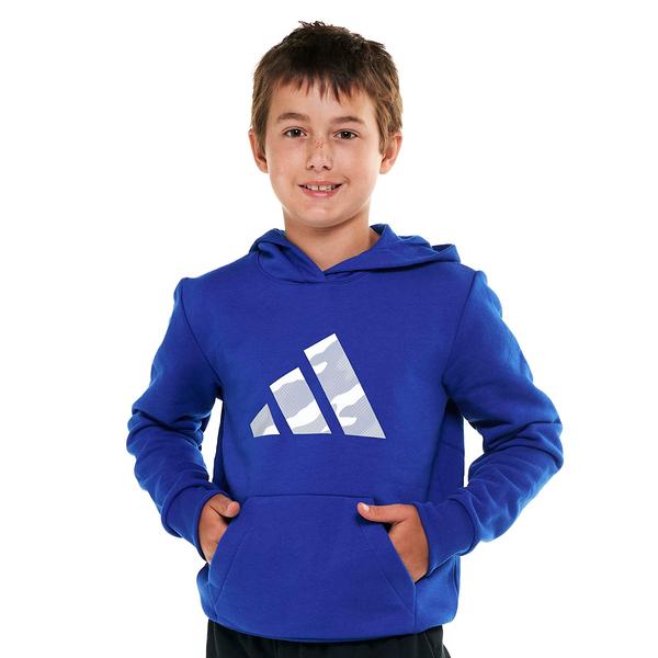 Boys (8-20) adidas(R) Graphic Pullover Hoodie - Brite Blue