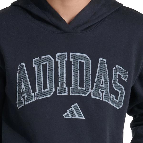 Boys (8-20) adidas(R) Collegiate Arch Hoodie alternate view