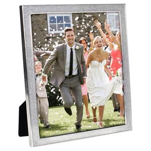 Malden Glitter Metal Frame - 8x10