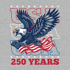 Mens Home of the Brave 250 Talon Flag Graphic Tee alternate view