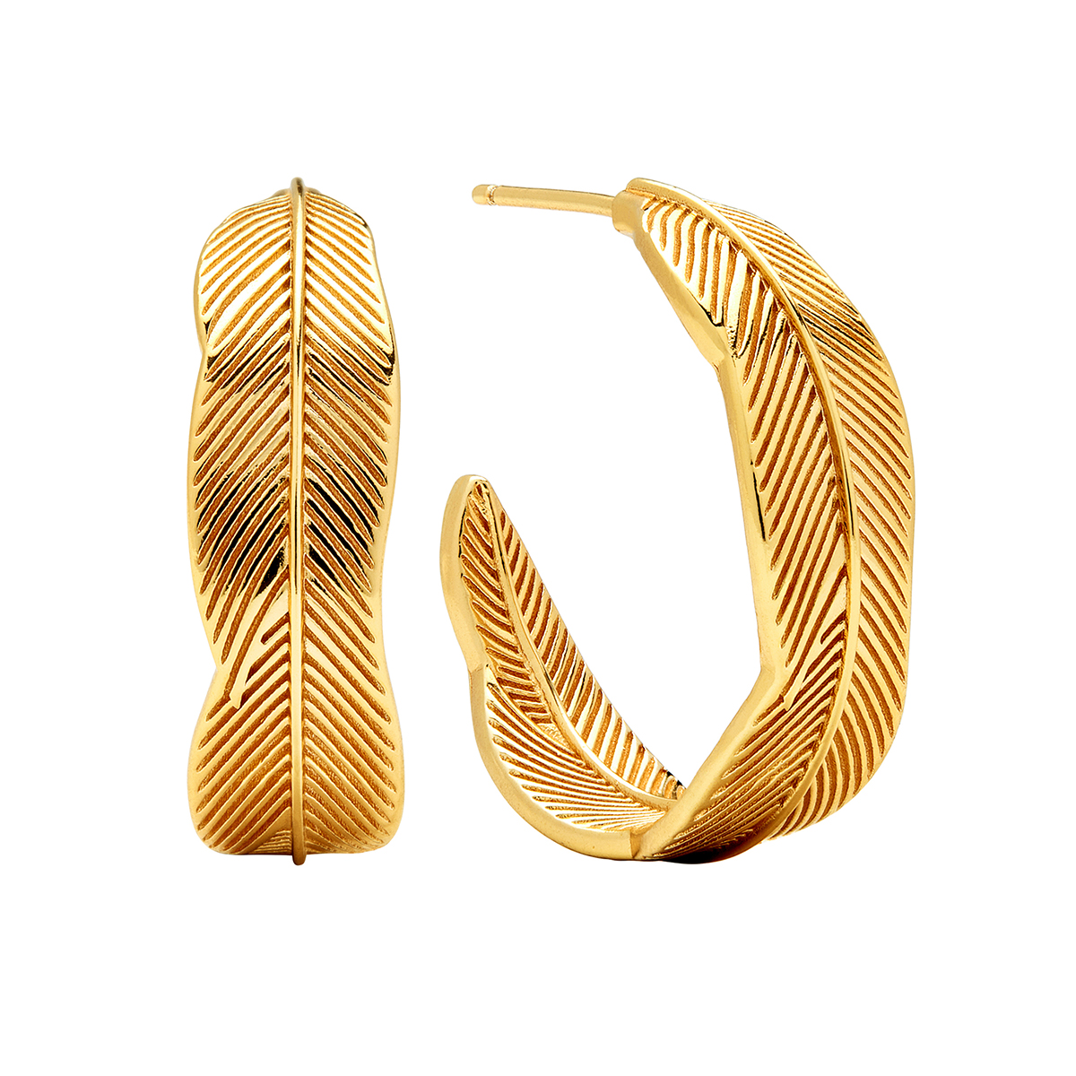 Marsala Gold Plated Feather Look C-Hoop Earrings