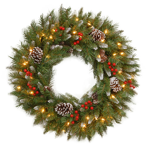 National Tree 24in. Frosted Berry Lighted LED Wreath