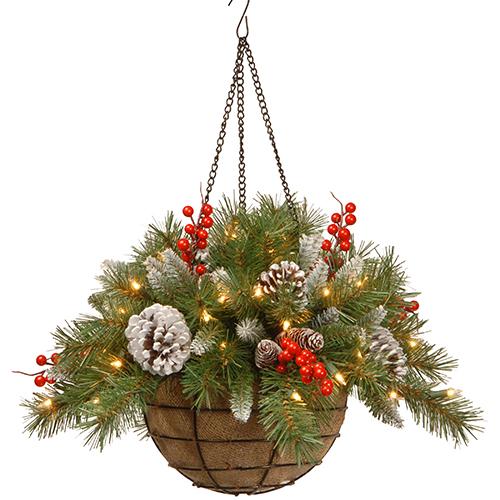 National Tree 20in. Frosted Berry Hanging Basket