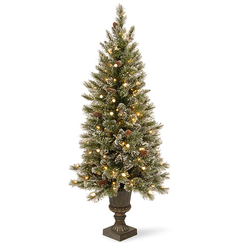 National Tree 5ft. Glittery Bristle(R) LED Lit Entrance Tree