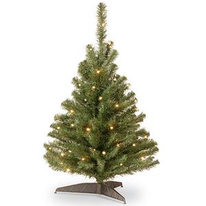 National Tree 3ft. Pre-lit Kincaid Spruce Tree