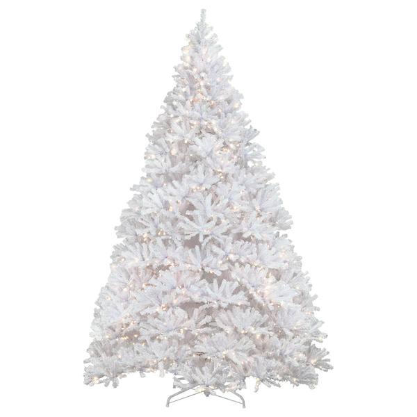 National Tree 12ft. Kingswood White Fir Christmas Tree