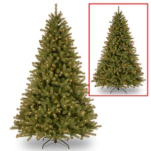National Tree 7.5ft. Pre-Lit LED Lakewood Spruce Tree