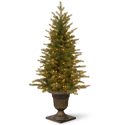 National Tree 4ft. Pre-Lit Nordic Spruce(R) Entrance Tree