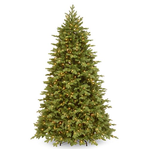 National Tree 6.5ft. PowerConnect(tm) Princeton Fraser Fir Tree