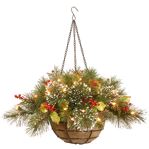 National Tree Wintry Pine 20in. Hanging Basket