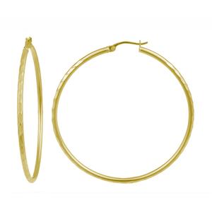 Designs by FMC 14kt. Gold Plated Hoop Earrings