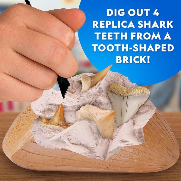 National Geographic Replica Shark Tooth Dig Kit alternate view