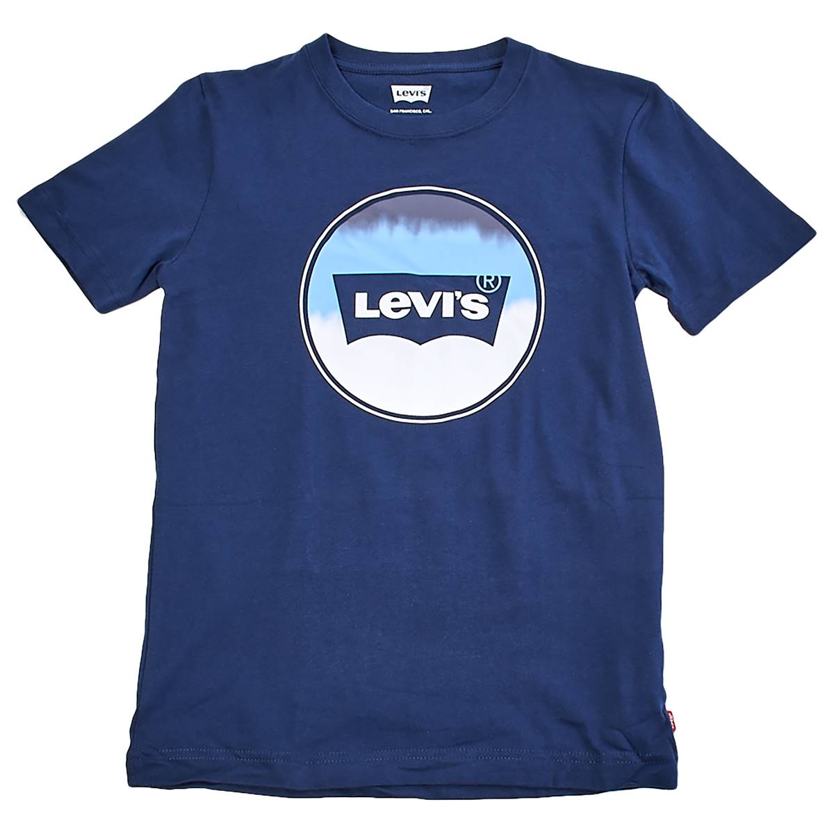Boys (8-20) Levi's(R) Short Sleeve Graphic Tee - Blue