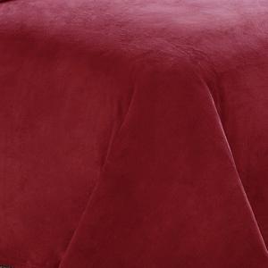 Truly Soft Velvet Plush Throw Blanket alternate view