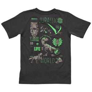 Boys (4-7) Jurassic World Short Sleeve Tee - Dark Grey alternate view
