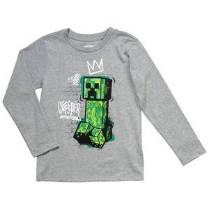 Boys (8-20) Minecraft Long Sleeve Tee - Grey