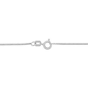 Gold Classics(tm) 10kt. White Gold 20in. Chain Necklace alternate view