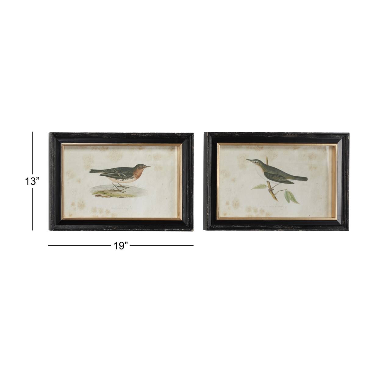 9th & Pike(R) Pipit And Warbler Bird Wall Art - Set Of 2