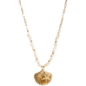 Ashley Cooper(tm) Gold-Plated Metal Necklace w/ Shell Pendant