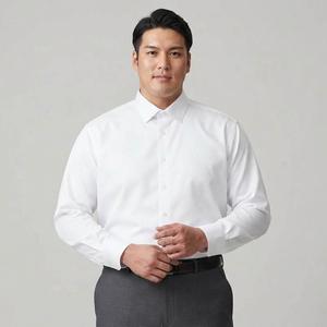 Mens Big & Tall Christian Aujard Dress Shirt - White
