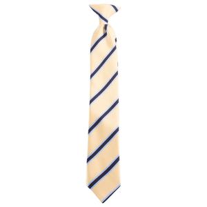 Boys (4-7) Bill Blass Clip On Tie - Gold