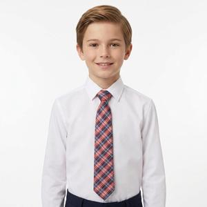 Boys (8-20) Bill Blass Plaid Tie - Orange alternate view