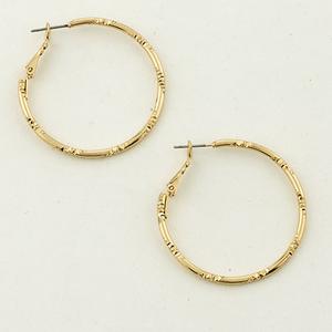 Freedom Nickel Free Leverback Hoop Earrings