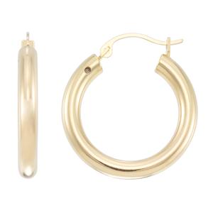 Evergold(tm) 14kt. Gold Over Resin Hoops with Nano Diamond Resin