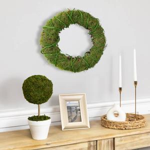 Northlight Artificial Moss & Vine Spring Twig Wreath alternate view