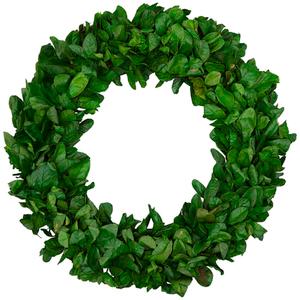 Northlight Preserved Leaf Spring Garden Wreath