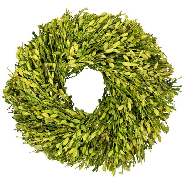 Northlight 11in. Artificial Green Foliage Spring Wreath