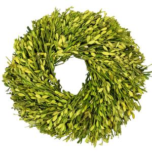 Northlight 11in. Artificial Green Foliage Spring Wreath