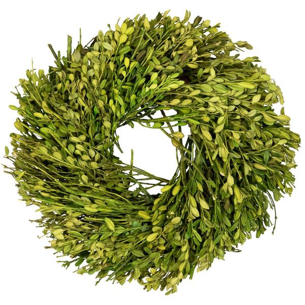 Northlight 10in. Artificial Green Foliage Spring Wreath