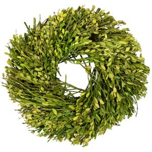 Northlight 10in. Artificial Green Foliage Spring Wreath