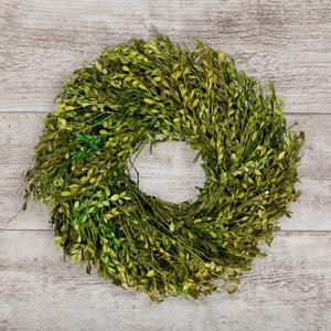 Northlight 15in. Artificial Green Foliage Spring Wreath alternate view